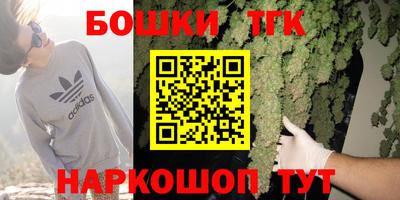 крисы Канаш