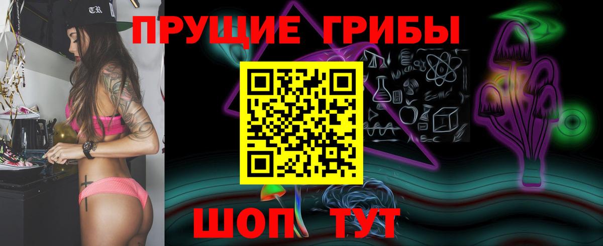 Коркино  Псилоцибиновые грибы GOLDEN TEACHER  Вход с VPN 